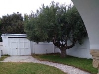 Bungalow the residence(réf: l2770) :
