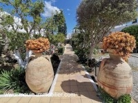 Bungalow Yasmine AL1997 Hammamet