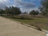 Bureaux SHAMS - Sidi Hammad             REF. L1410