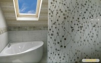 CABINE ET PAROI DE DOUCHE