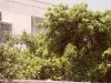 Carthage Hannibal villa CS-5565f3