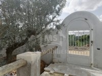 Charmante villa avec piscine à vendre à Hammamet 