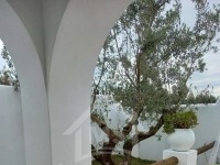 Charmante villa avec piscine à vendre à Hammamet 