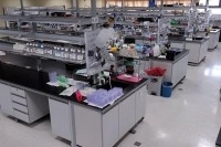 CHIMIE UNIVERSAL SOLUTION DECAPAGE