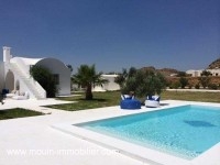 DAR COCOON El Monchar AV965