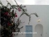 Dar El Mahdia ref AV547 Mahdia