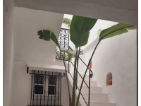 Dar Eliza AL3546 Hammamet