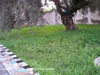 DAR HAPPINESS Hammamet Nord AV521