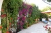 Dar Ifriqyia ref AV518 Hammamet Zone Corniche