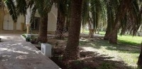 Dar La palmyre AL1260 Hammamet Nord 
