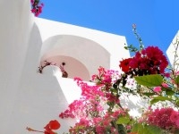DAR LE TUNISIEN Hammamet Centre   AV1330