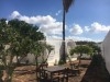 Dar Les Pins ref AV656 Hammamet