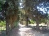 DAR LES VERGERS - Hammamet Nord