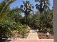 Dar L'Olivier AL120 Hammamet 