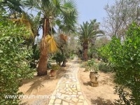 DAR L'OLIVIER I Hammamet Zone Théâtre AL120