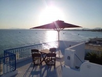 Dar Lotus AV1665 Hammamet centre 