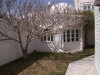 DAR MAGNOLIA