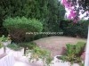 DAR MANAR - MIMOSA  