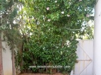 Dar Youssef AL1911