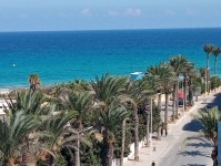 des appartements avendre s+1 ou s+1