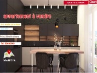 Des appartements en cours de construction