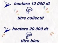 des hectares pieds dans l'eau à haouaria 
