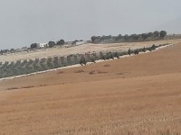 DES LOTS  DE  01 Ha    A  14km   TUNIS