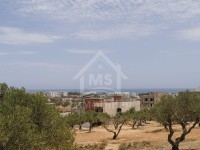 Des lots à vendre à Mrezga 51355351