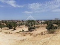 Des lots à vendre à Mrezga 51355351