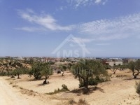 Des lots à vendre à Mrezga 51355351