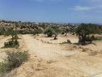 Des lots à vendre à Mrezga 51355351