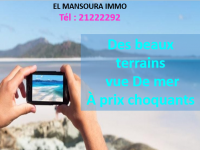 des lots de terrain au bord de mer 