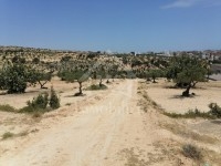 Des lots de terrain vue mer à vendre à Mrezga 