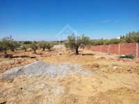 Des lots de terrains à vendre à 160 dt/m² 51355351