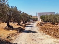 Des lots de terrains à vendre à 160 dt/m² 51355351