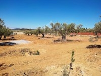 Des lots de terrains à vendre à 160 dt/m² 51355351