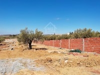 Des lots de terrains à vendre à 160 dt/m² 51355351