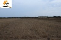 des terrains
