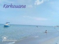 des terrains a kerkouane_kélibia a vendre 29711072