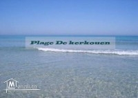 des terrains a kerkouane_kélibia a vendre 29711072