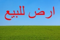 des trrains a dar aallouche_kélibia a vendre 