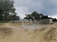 DEUX LOTS de terrain à MREZGA 51500503