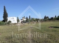Deux lots de terrains à vendre à Hammamet 51355351