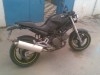 DUCATI MONSTER DARK