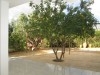 Duplex de compagne sur 1500m² à 10 min de Hammamet