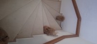 Duplex S+3 FAYROUZA :
