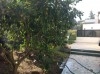 Duplex s1 carthage présidence