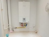 Duplex Tweety AL1828 Hammamet 