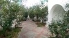 DUPLEXE MIZOU - Hammamet Sud        REF. V625