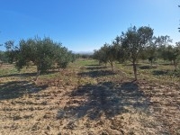 FERME    DE  17 Ha